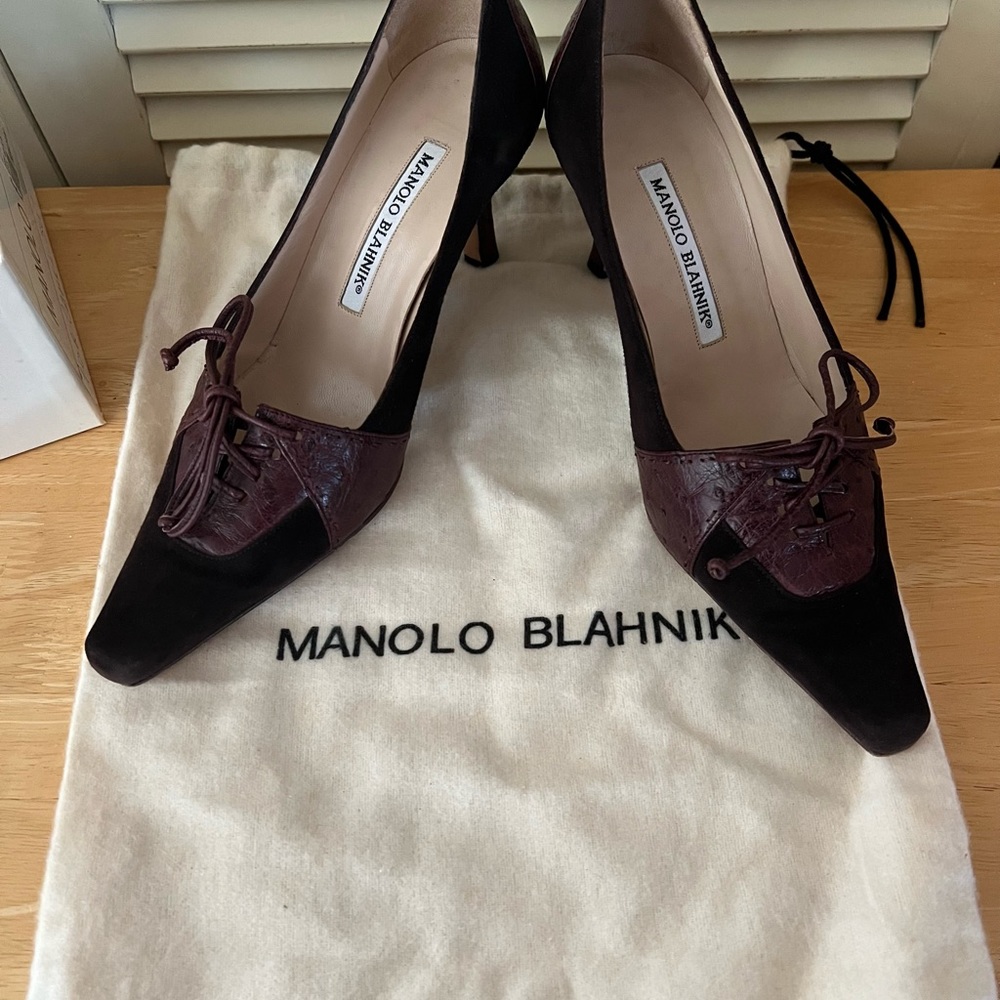 Manolo Blahnik Suede Pointed-Toe Pumps